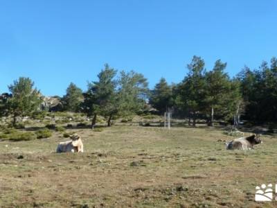 Chorro de San Mamés - Montes Carpetanos ;senderos ecologicos cazorla senderismo la rioja senderismo